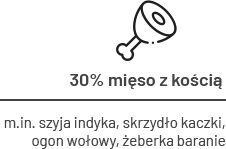 kosci